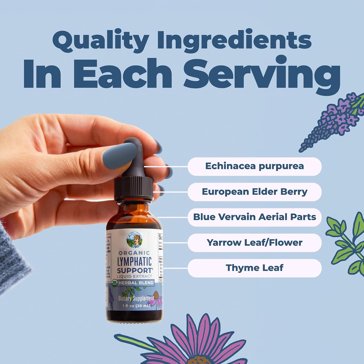 Organic Lymphatic Support Liqu - огляд і ціна Echinacea